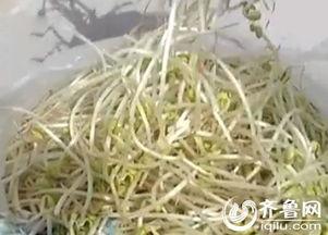 豆芽爆料视频大全集,揭秘娱乐圈幕后真相  第1张