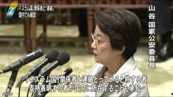 在线观看nhk,探索日本文化的新窗口  第2张